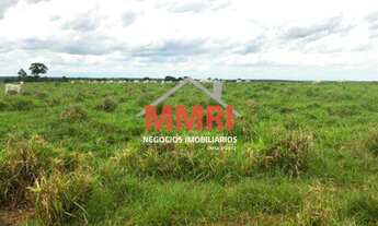 Imagem 5: FAZENDA RESIDENCIAL em ÁGUA CLARA - MS, NI