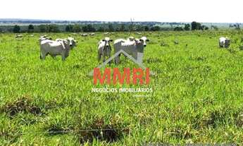 Imagem: FAZENDA RESIDENCIAL em ÁGUA CLARA - MS