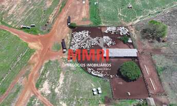Imagem: FAZENDA RURAL em PARANATINGA - MT, Rural
