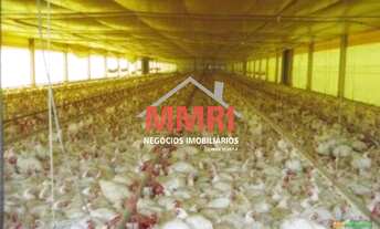 Imagem: Frigorifico INDUSTRIAL em ABATIÁ - PR