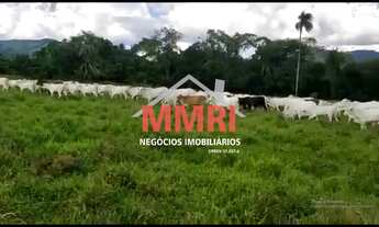 Imagem: FAZENDA RURAL em DAVIDÓPOLIS - GO, Rural