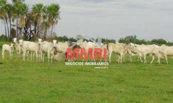 Imagem: FAZENDA RURAL em Cáceres - MT, Centro