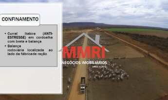 Imagem 5: FAZENDA RURAL em GOIATINS - TO, Área Rural