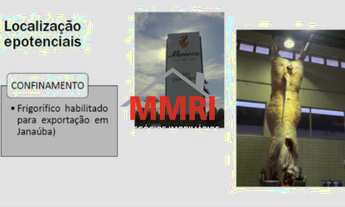 Imagem 2: FAZENDA RURAL em GOIATINS - TO, Área Rural