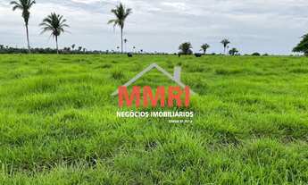 Imagem: Fazenda à Venda na Região de Tocantins
