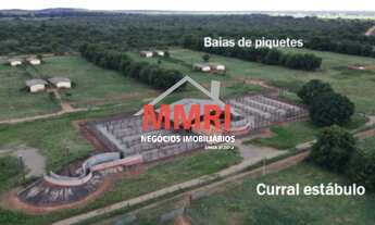 Imagem 7: FAZENDA RURAL em GOIATINS - TO, Área Rural