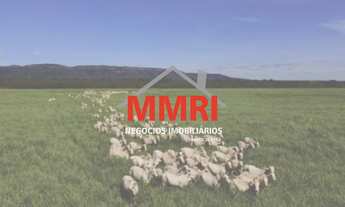 Imagem: FAZENDA RURAL em GOIATINS - TO, Área Rural