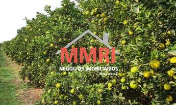 Imagem 5: FAZENDA RURAL em INDIAPORÃ - SP, Rural