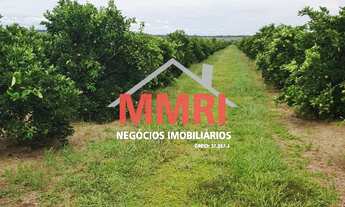 Imagem 2: FAZENDA RURAL em INDIAPORÃ - SP, Rural