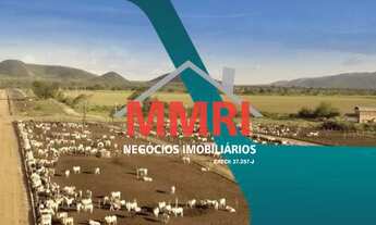 Imagem: FAZENDA RURAL em PORTO SEGURO - BA, Área