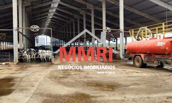 Imagem 4: FAZENDA RURAL em CURVELO - MG, CENTRO