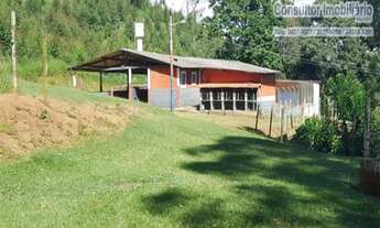 Imagem 3: SITIO RURAL em NAZARÉ PAULISTA - SP, Mascate