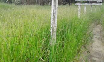 Imagem 2: TERRENO INDUSTRIAL em Atibaia - SP, Bairro dos Pires
