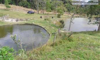 Imagem 4: SITIO RURAL em Nazare Paulista - SP, Ribeirão a Cima