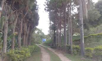 Imagem 9: Sitio RURAL em Nazare Paulista - SP, Ribeirão a Cima