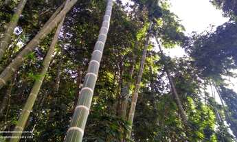 Imagem 7: LINDA PROPRIEDADE EM AREA DE 90.000 m2 COM NASCENTE E LAGO EM ATIBAIA