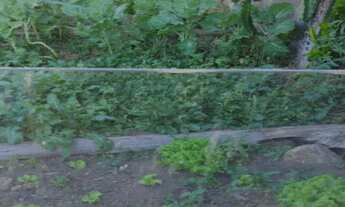 Imagem 7: SITIO RURAL em PIRACAIA - SP, Barrocão