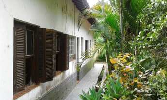 Imagem 5: SITIO COM 12 ALQUEIRES E PLANTAÇÃO DE EUCALIPTO EM ATIBAIA