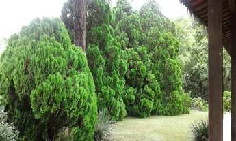 Imagem 6: SITIO COM 12 ALQUEIRES E PLANTAÇÃO DE EUCALIPTO EM ATIBAIA