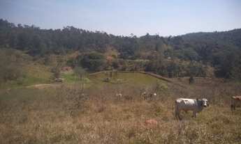 Imagem 5: SITIO DE 17 ALQUEIRES COM 3 LAGOS E NASCENTES NA REGIÃO DE ATIBAIA