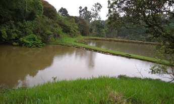 Imagem 4: SITIO DE 17 ALQUEIRES COM 3 LAGOS E NASCENTES NA REGIÃO DE ATIBAIA