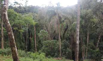 Imagem 6: SITIO EM NAZARÉ PAULISTA COM 23.500 M2 E CASA DE 4 SUÍTES EM FORMAÇÃO