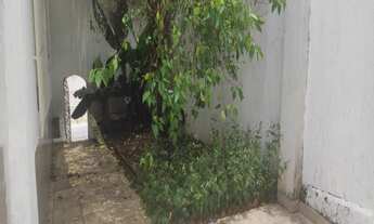 Imagem 7: CASA TÉRREA NO JD PAULISTA COM 3 DORMITÓRIOS E BOA LOCALIZAÇÃO