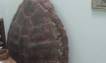 Imagem 4: Casa com 5 dorms em Bragança Paulista