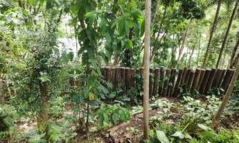 Imagem 4: EXCELENTE CHÁCARA COM 5279 m² E 3 CASAS EM ATIBAIA, COM ESCRITURA