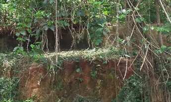 Imagem 3: TERRENO EM MAIRIPORÃ, 1358 m² COM MATRICULA. ACEITA VEÍCULO PARTE PAGAMENTO