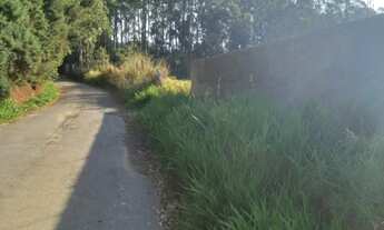 Imagem 4: TERRENOS COM 2500 M² LIVRE DE ARVORES E COM VISTA EM BRAGANÇA PAULISTA