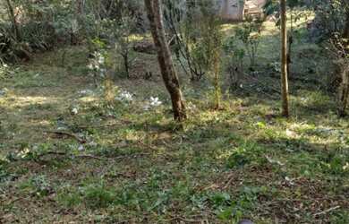 Imagem 4: TERRENO DE 3760 M² PERTO REPRESA EM NAZARE PAULISTA COM CASA PEQUENA