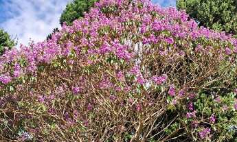 Imagem 5: CASA TÉRREA COM 4 SUÍTES ESTILO POUSADA NA VILA GIGLIO EM ATIBAIA