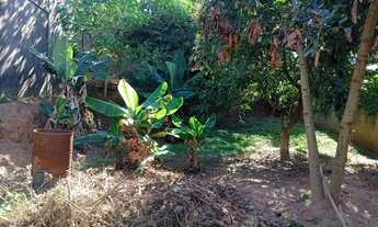 Imagem 2: CASA COM 3 DORMITÓRIOS E QUINTAL GRANDE COM POMAR ACEITA PERMUTA