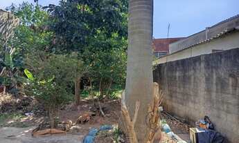 Imagem 3: CASA COM 3 DORMITÓRIOS E QUINTAL GRANDE COM POMAR ACEITA PERMUTA