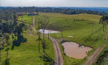 Imagem: CHACARA RURAL em CAMPO ALEGRE - SC, CAMPO