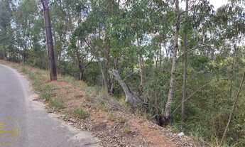 Imagem 4: Vendo Lotes no bairro Recanto dos Eucaliptos em Paty do Alferes - RJ