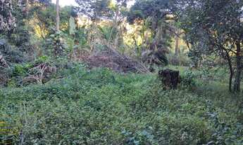 Imagem 3: Vendo Terrenos no bairro Maravilha em Paty do Alferes - RJ