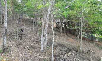 Imagem 3: Vendo Terreno no bairro Arcozelo em Paty do Alferes -RJ
