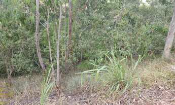 Imagem 6: Vendo Lotes no bairro Recanto dos Eucaliptos em Paty do Alferes - RJ