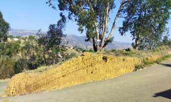 Imagem 5: Vendo Lotes no bairro Recanto dos Eucaliptos em Paty do Alferes - RJ