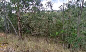 Imagem 5: Vendo Lotes no bairro Recanto dos Eucaliptos em Paty do Alferes - RJ