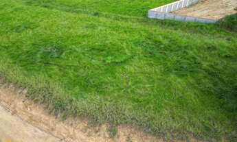 Imagem 4: Vendo Terreno no bairro Campo Verde em Paty do Alferes - RJ