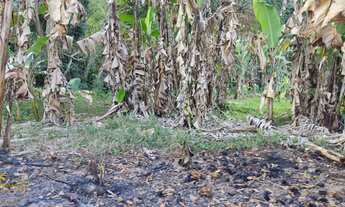 Imagem 4: Vendo Terrenos no bairro Maravilha em Paty do Alferes - RJ