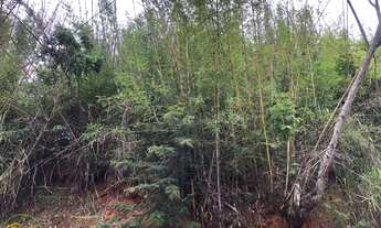 Imagem 7: Vendo Lotes no bairro Goiabal em Paty do Alferes - RJ