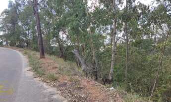 Imagem 3: Vendo Lotes no bairro Recanto dos Eucaliptos em Paty do Alferes - RJ