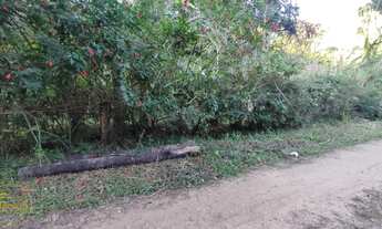 Imagem 6: Vendo Terrenos no bairro Maravilha em Paty do Alferes - RJ