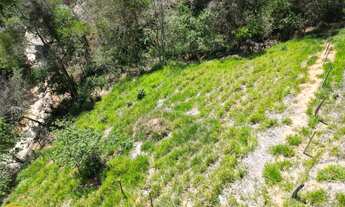 Imagem 3: Vendo Terreno no bairro Lagoinha em Miguel Pereira - RJ
