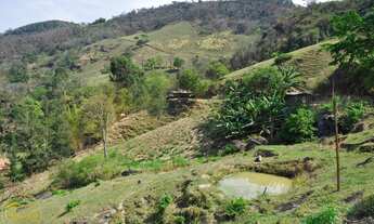 Imagem: Vendo Sítio no bairro Maravilha em Paty