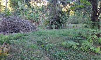 Imagem 2: Vendo Terrenos no bairro Maravilha em Paty do Alferes - RJ